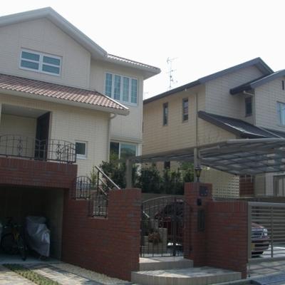 全体 全体