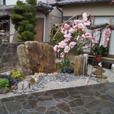 全体 全体