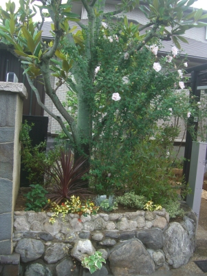 DSCF1676