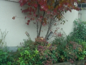 DSCF1606