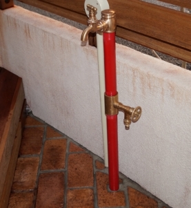DSCF1695