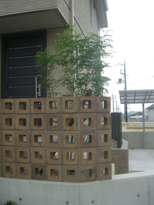 DSCF1604
