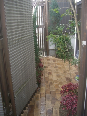DSCF1604
