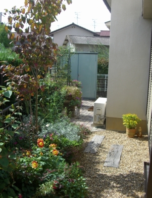 DSCF1606