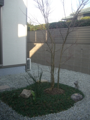 DSCF1695