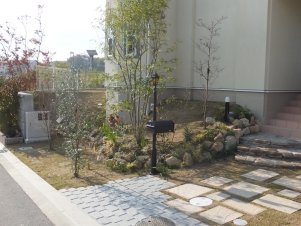DSCF1695