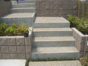 DSCF1604