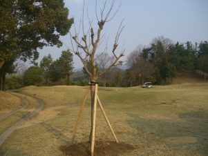 DSCF1695