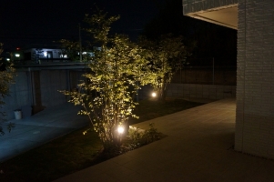 NiwaNaviImage