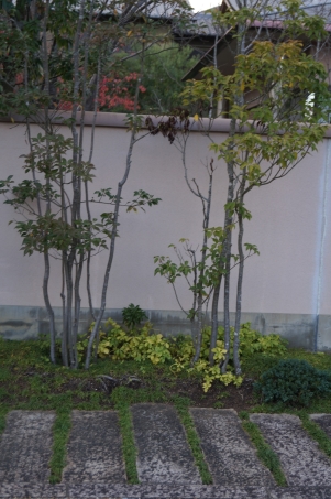 DSCF1695