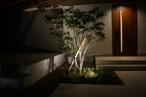 DSC03354