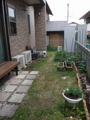 DSCF1604