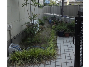 DSCF1604