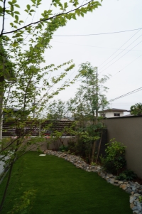DSC02311