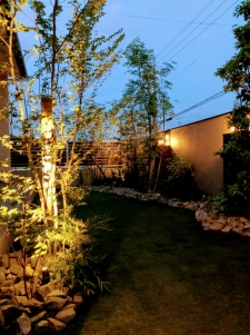 NiwaNaviImage