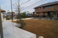 ¦鸫