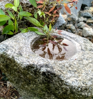 DSCF1604
