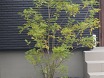 ڤФޤ䤵ݤͶ